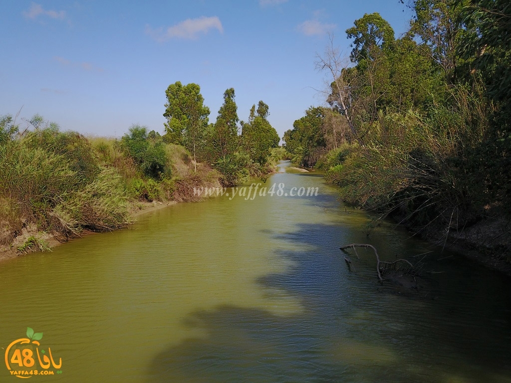 mokhayam hai2a (4).jpg